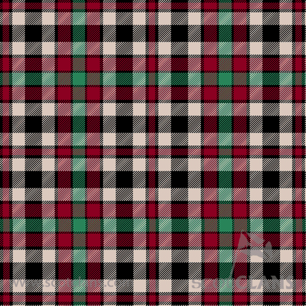 Borthwick Dress Ancient Clan Half Of Tartan Hoodie main image 1