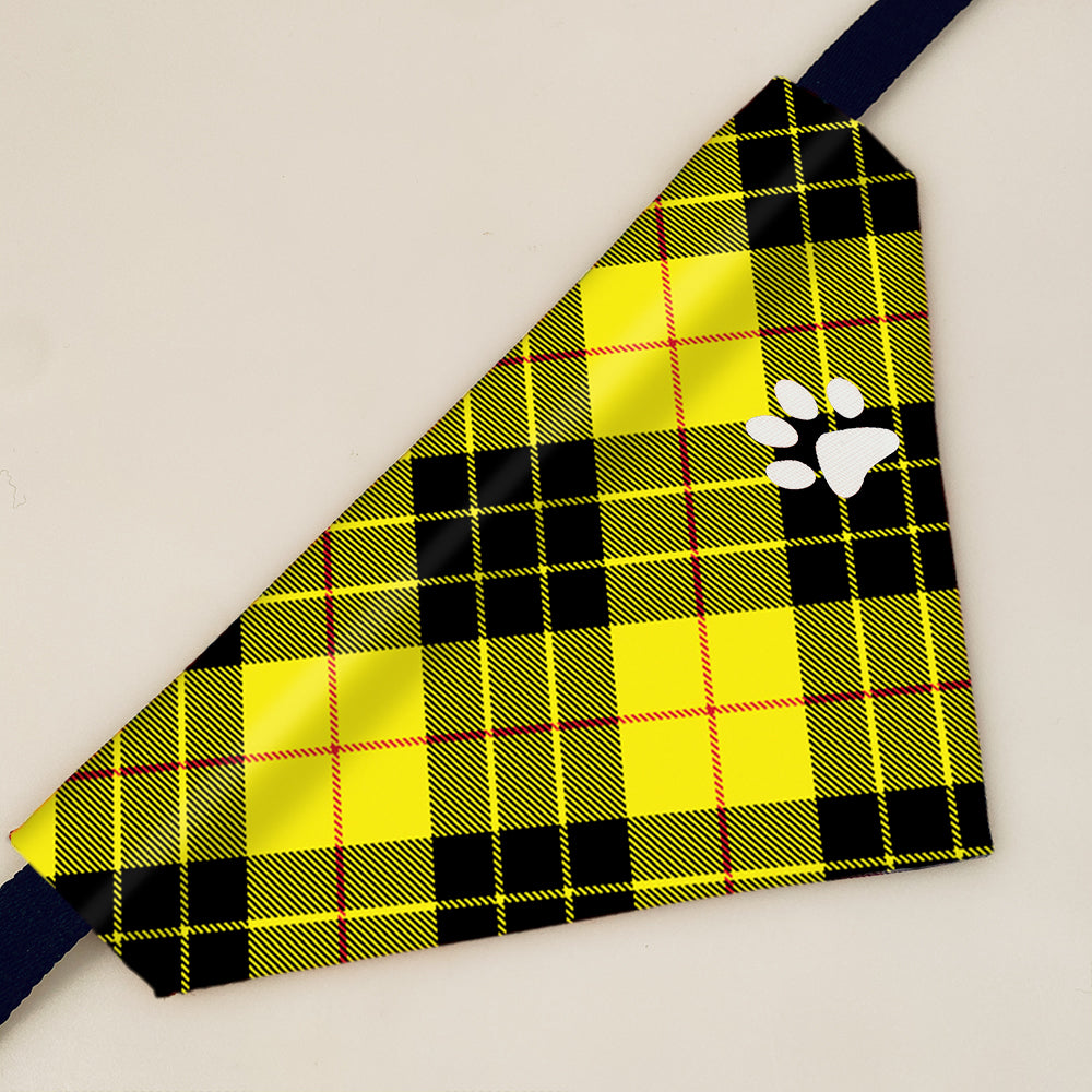MacLeod of Lewis Modern Tartan Pet Bandana - Main Image