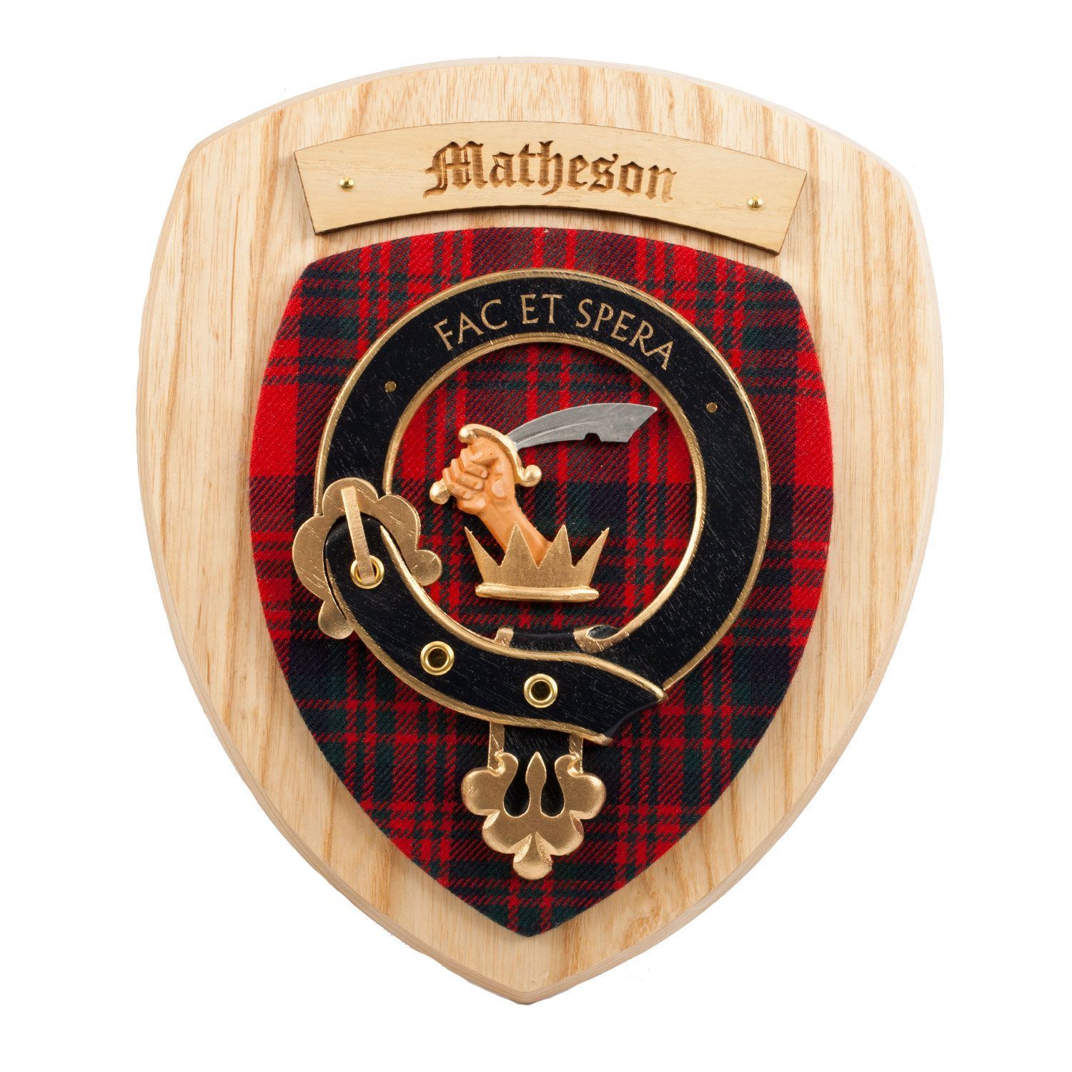 Matheson good Scottish Clan Crest Badge Tankard