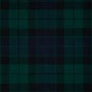 Model wearing the Ladies Old & Rare Hand Stitched Tartan Kilt - 8 yards, highlighting the elegant design and tailored fit.