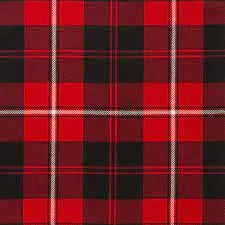 Full Lined Tartan Circle Skirt