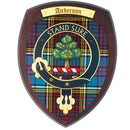 Extra Large Clan Crest Plaque showcasing authentic Scottish craftsmanship with intricate detailing, perfect for enhancing home decor and celebrating heritage.