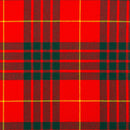 Close-up view of the Tartan Skull t-shirt, showcasing premium quality fabric and striking skull design with custom tartan.