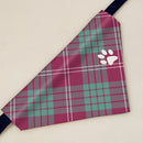Crawford Ancient Tartan Pet Bandana featuring vibrant colors in a classic tartan design, perfect for dressing up your pet.
