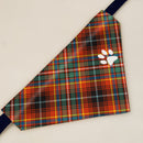 Innes Ancient Tartan Pet Bandana