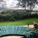 Kennedy Ancient Heavyweight Hand Stitched Kilt